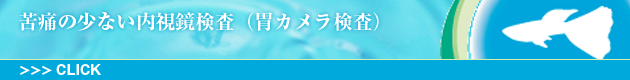 経鼻内視鏡(胃カメラ)について